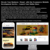 ecommerce website development service for online store